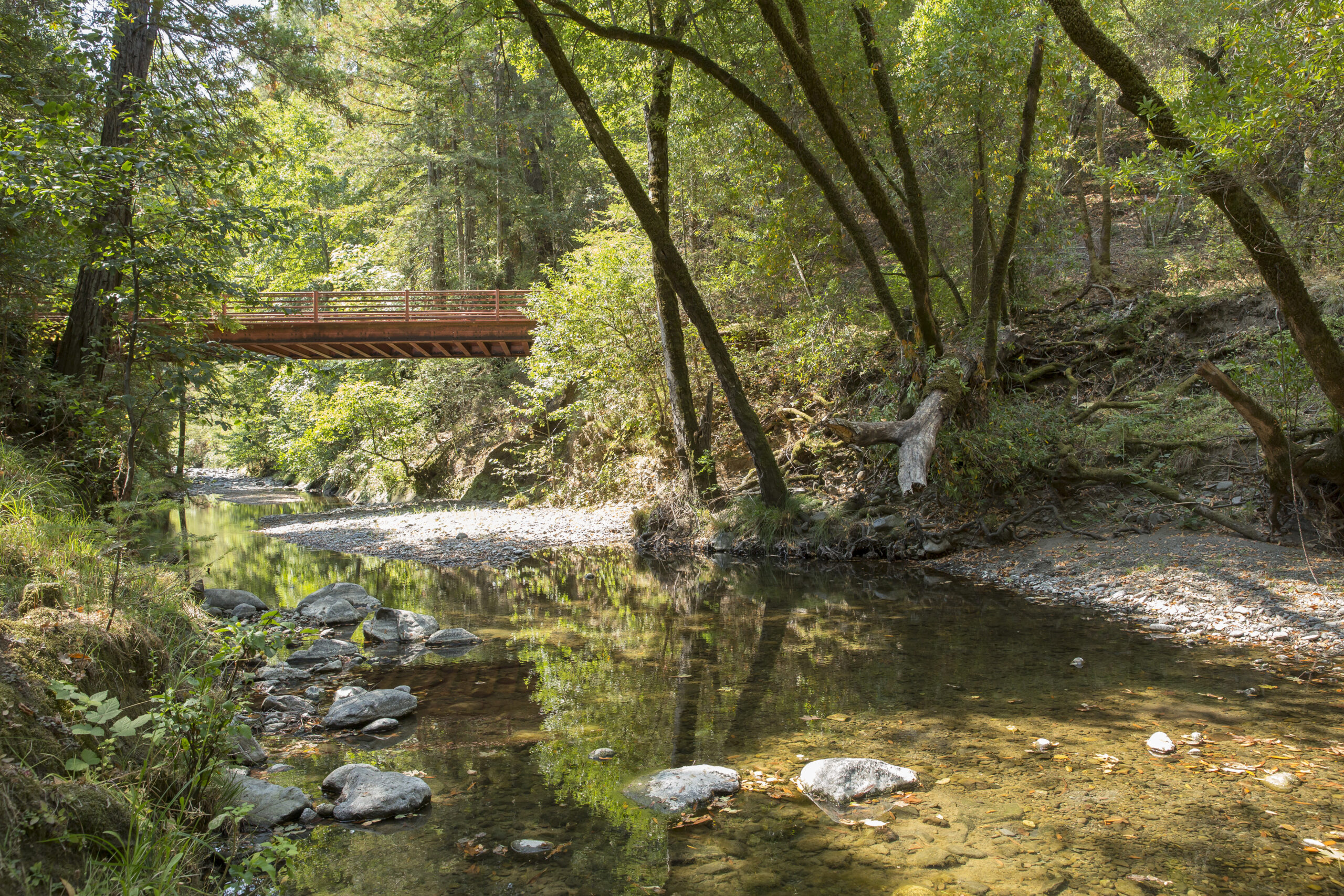 A footbridge runs across a heavily shaded section of Mark West Creek.