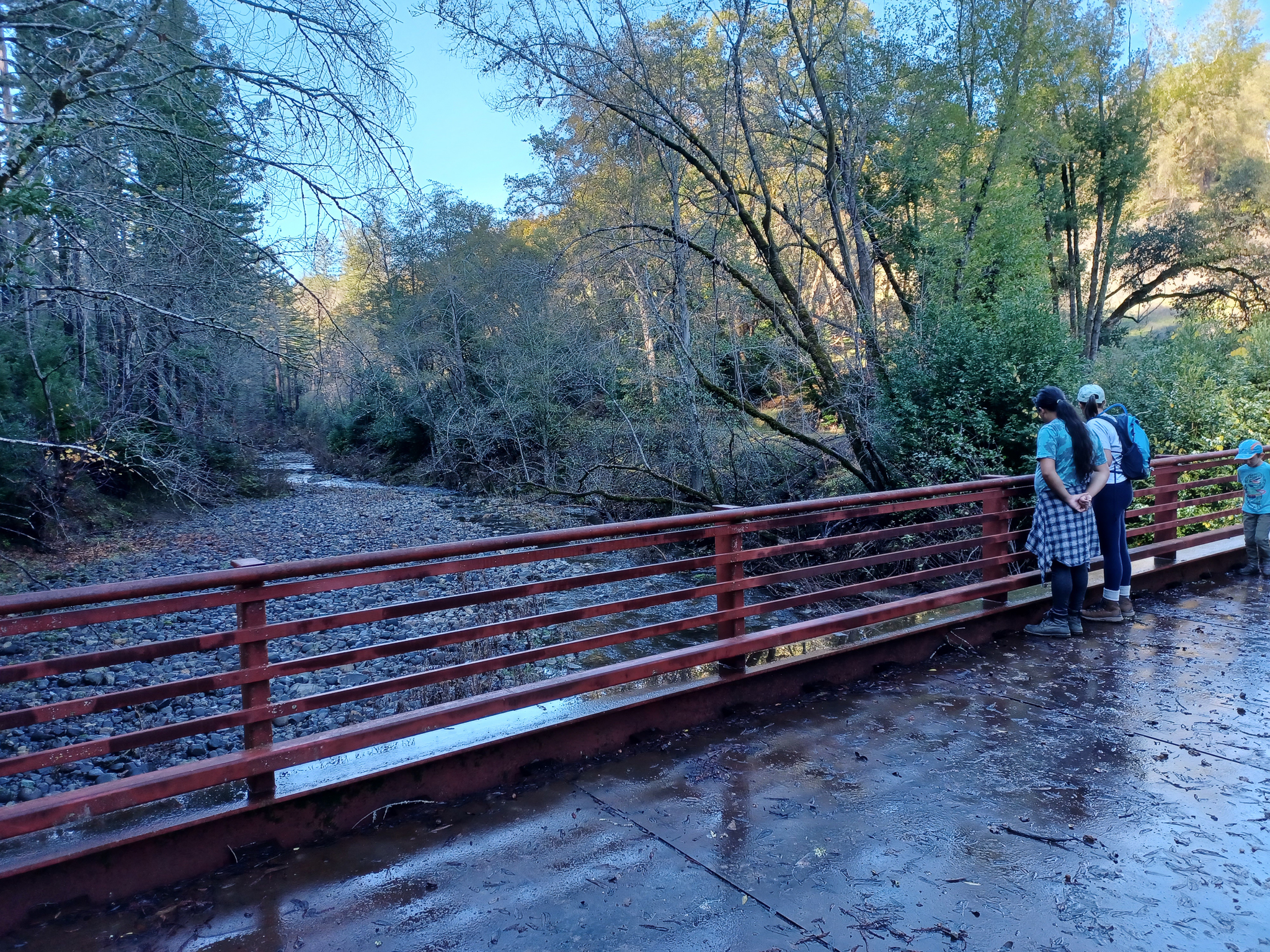 Two girls and a young boy stand and peer over the side of a footbridge across a creek at Mark West Creek Regional Park & Open Space Preserve.