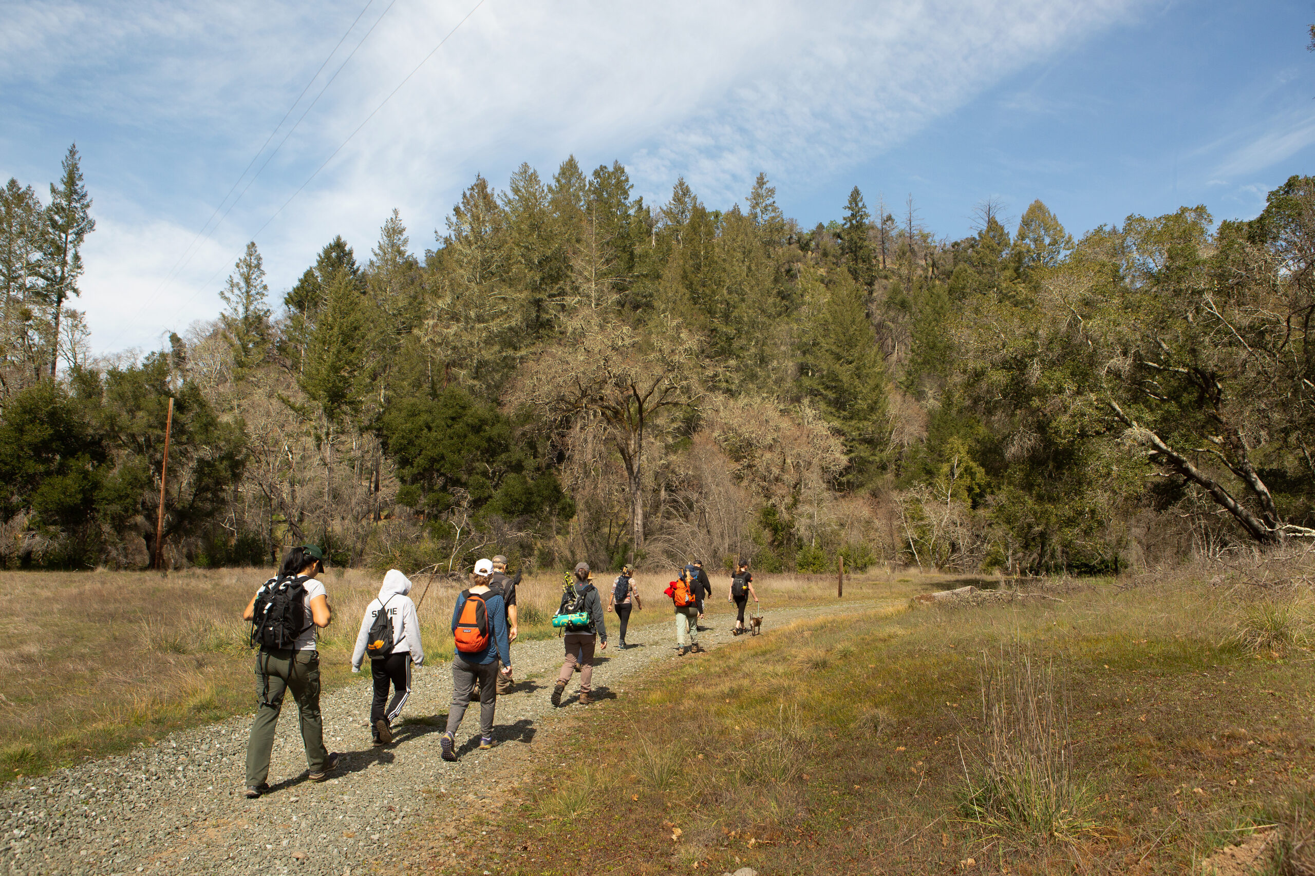 A group of hikers of all ages walk along a trail lined with oak trees.